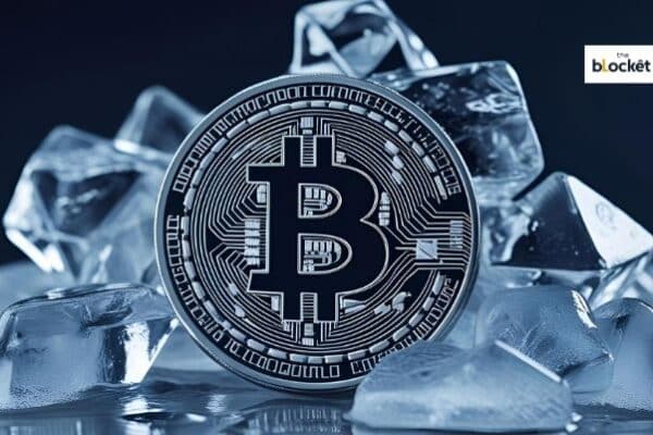 Crypto30x.com Ice