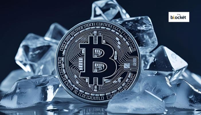 Crypto30x.com Ice